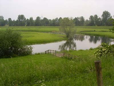 landschap elden